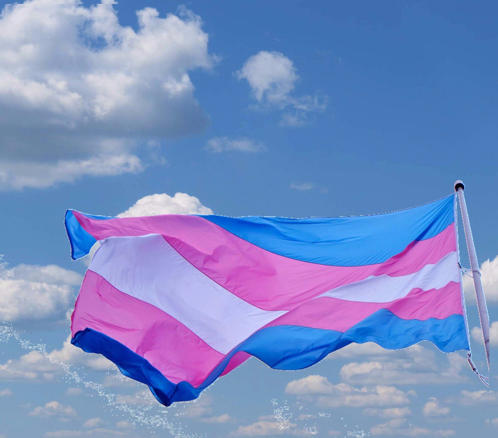 ILGALAC celebra la aprobación de la Ley Integral para Personas Trans en Uruguay