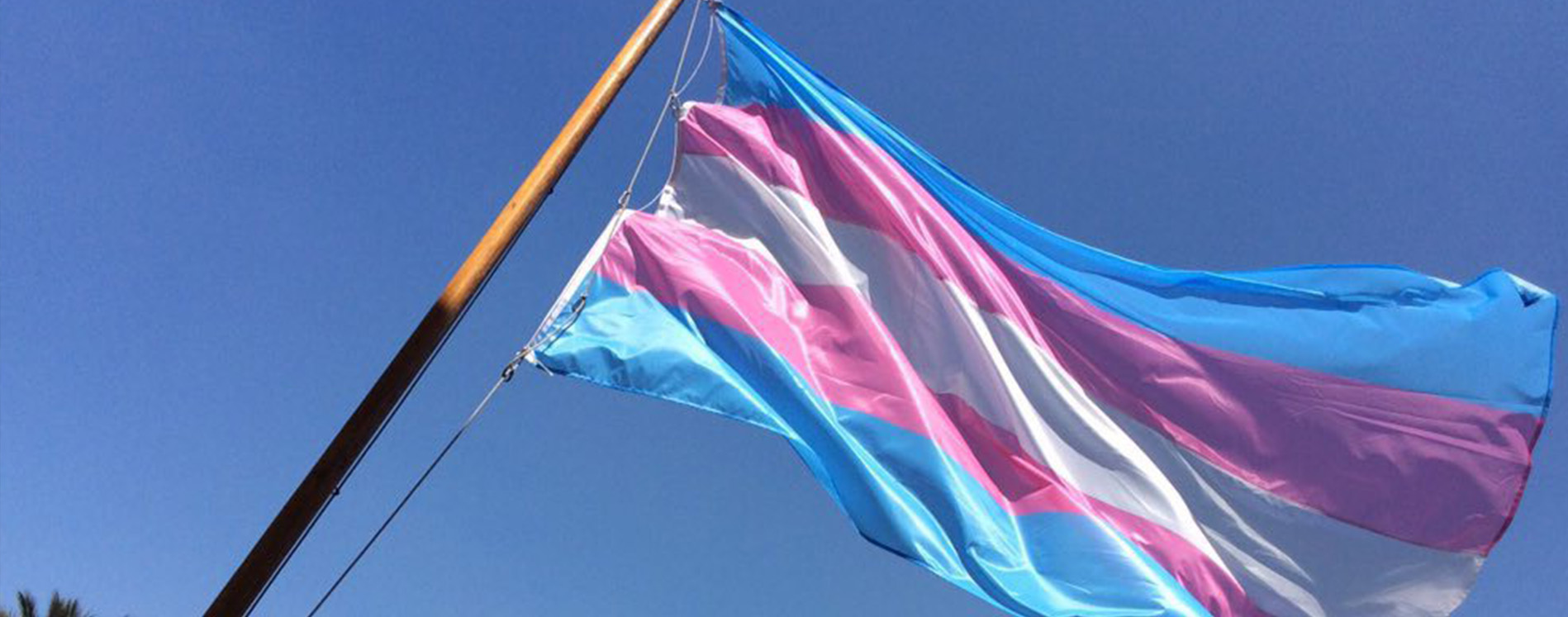 369 personas trans y género-diversas reportadas asesinadas entre 1 octubre 2017 y 30 septiembre 2018