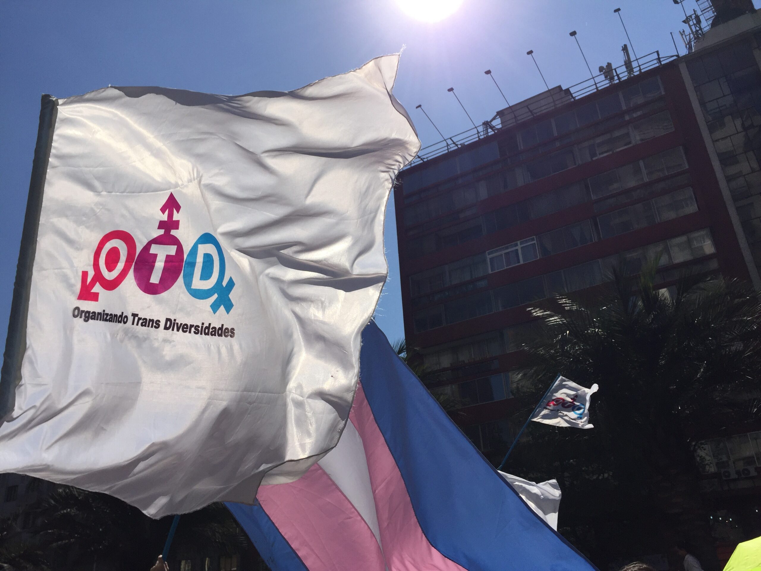OTD Chile convoca a diversas actividades para conmemorar el Octubre Trans