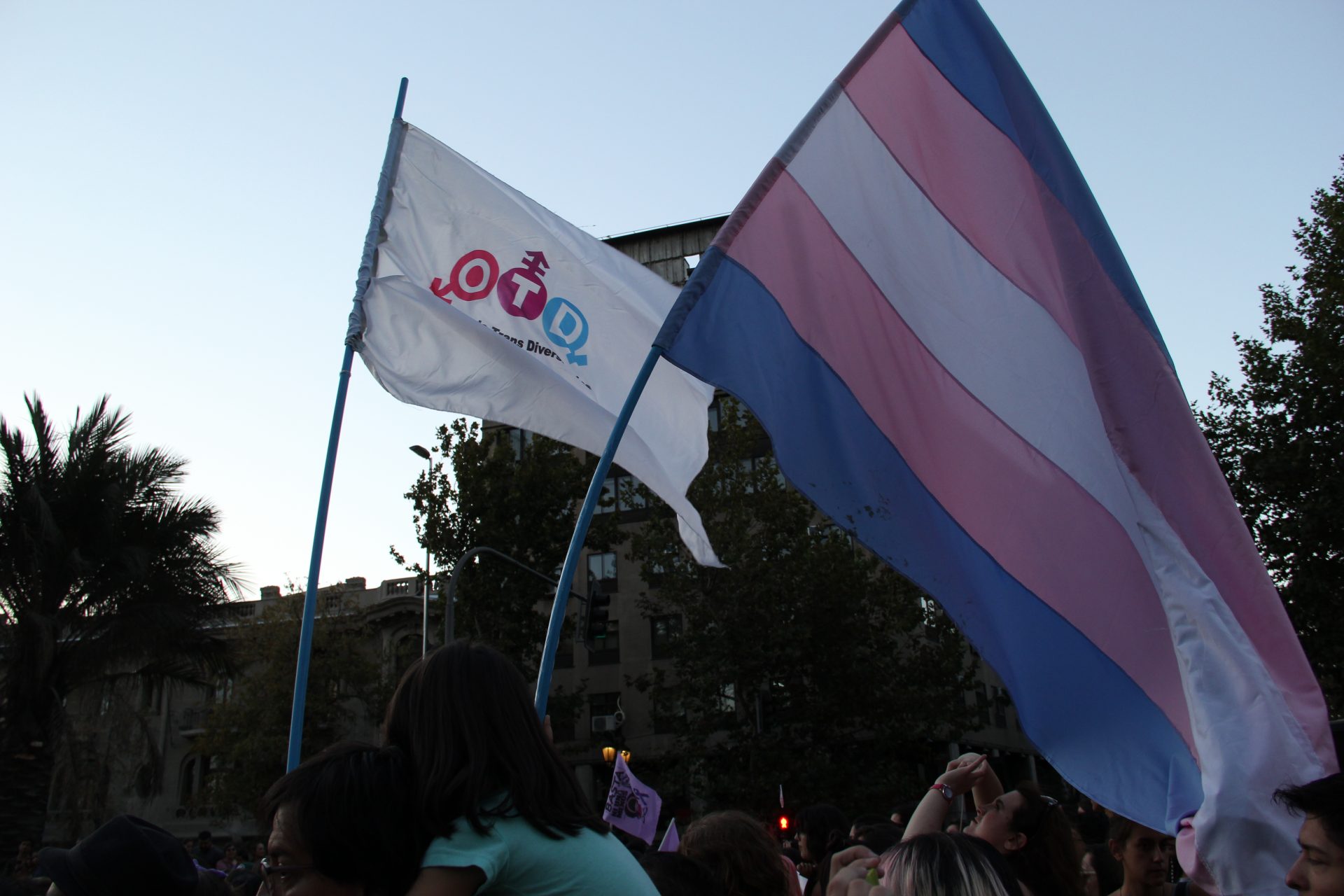 Remembranza Trans 2018: ¿Cómo no vamos a luchar?