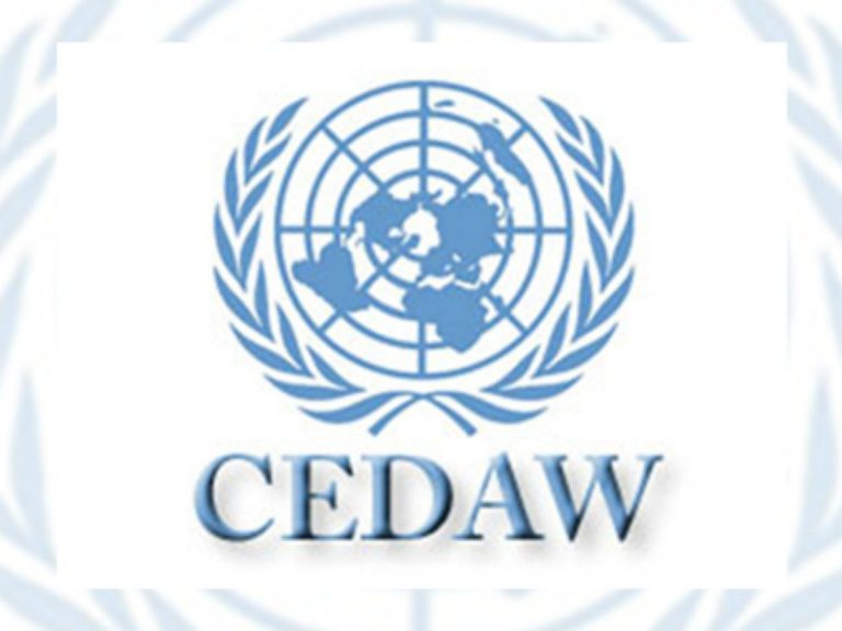 CEDAW asks the State of Chile to approve the Gender Identity Law