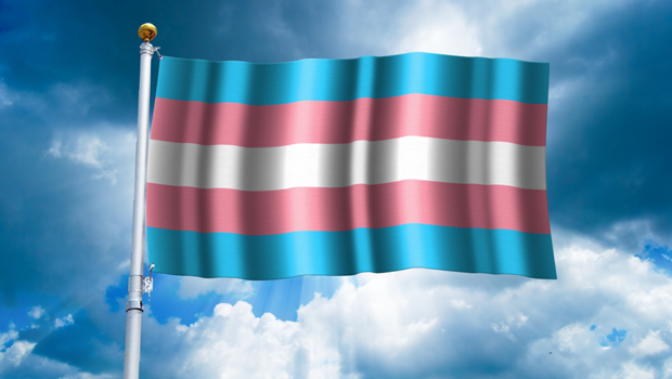 What does the Gender Identity Law establish in Chile?