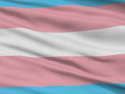 Bandera-trans-otdchile