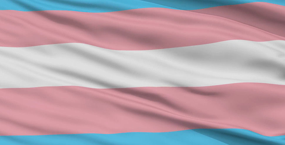 bandera-trans-otdchile