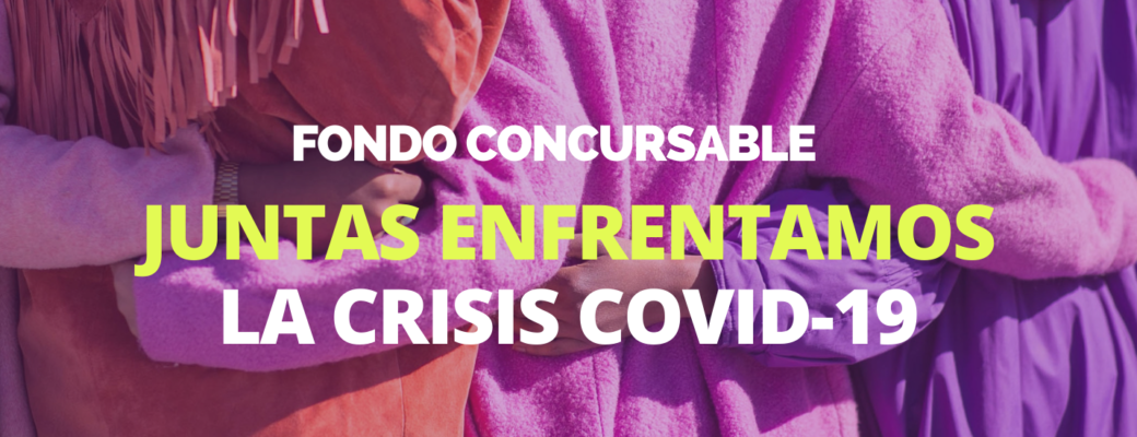 Organizaciones De Mujeres De Todo Chile Se Adjudican Fondo Concursable Juntas Enfrentamos La Crisis Covid-19