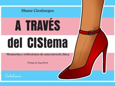 A Través Del Cistema, Reflexiones Y Memorias De Una Travesti Chica