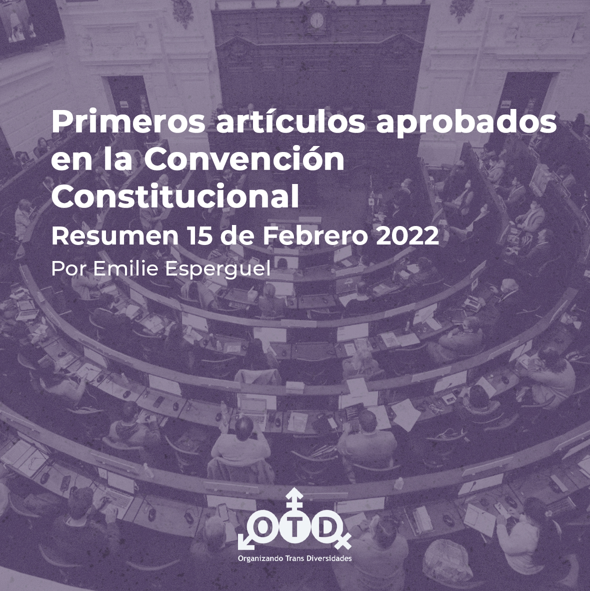 Primeros artículos aprobados en la Convención Constitucional por Emilie Esperguel
