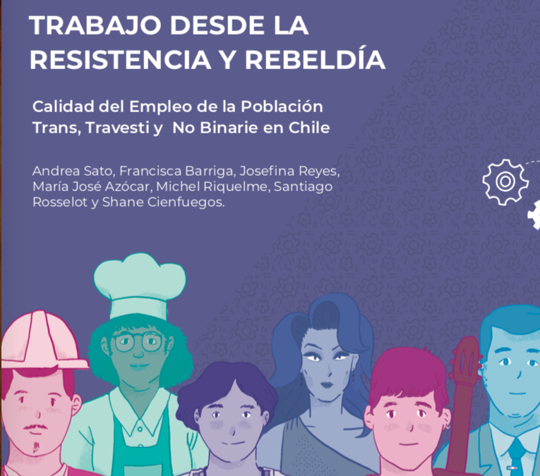 Calidad del Empleo de la Población Trans, Travesti y No Binarie en Chile