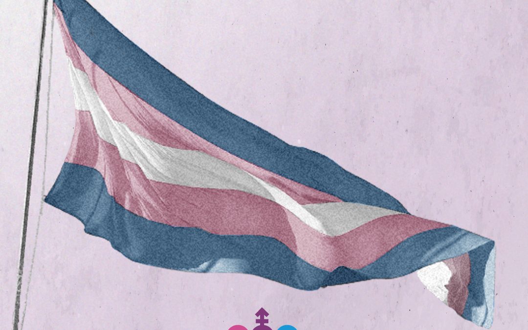 31 de marzo: De la autodeterminación a la visibilidad Trans