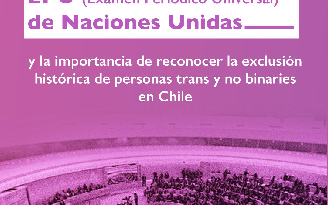 OTD Chile incide con informe sombra frente a la rendición del Estado de Chile en el Examen Periodico Universal